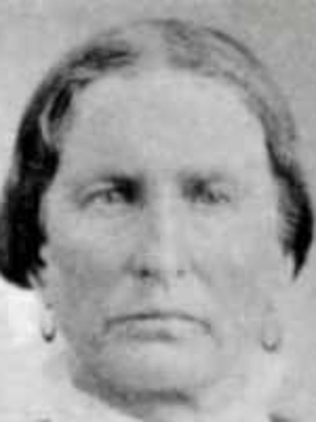 Mary Ann Beesley (1825 - 1895) Profile